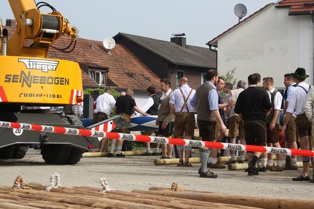 Maibaum 2013